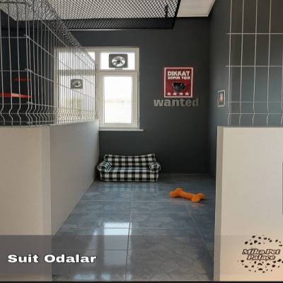 Bakanlık Onaylı Pet Otel